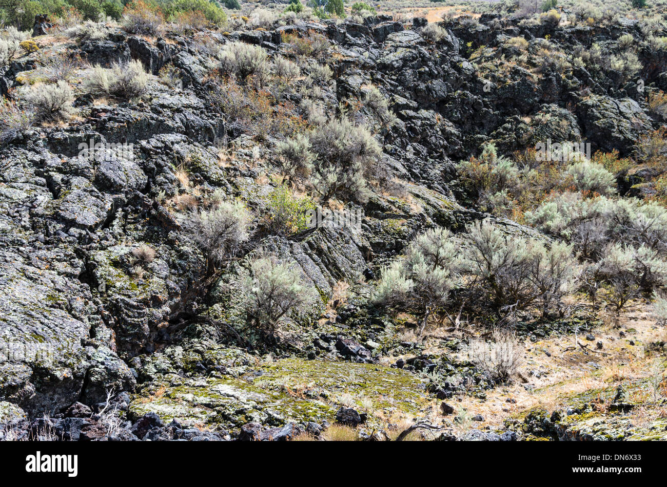 Il flusso di lava formando un campo di roccia da antiche attività vulcanica. Idaho, Stati Uniti Foto Stock