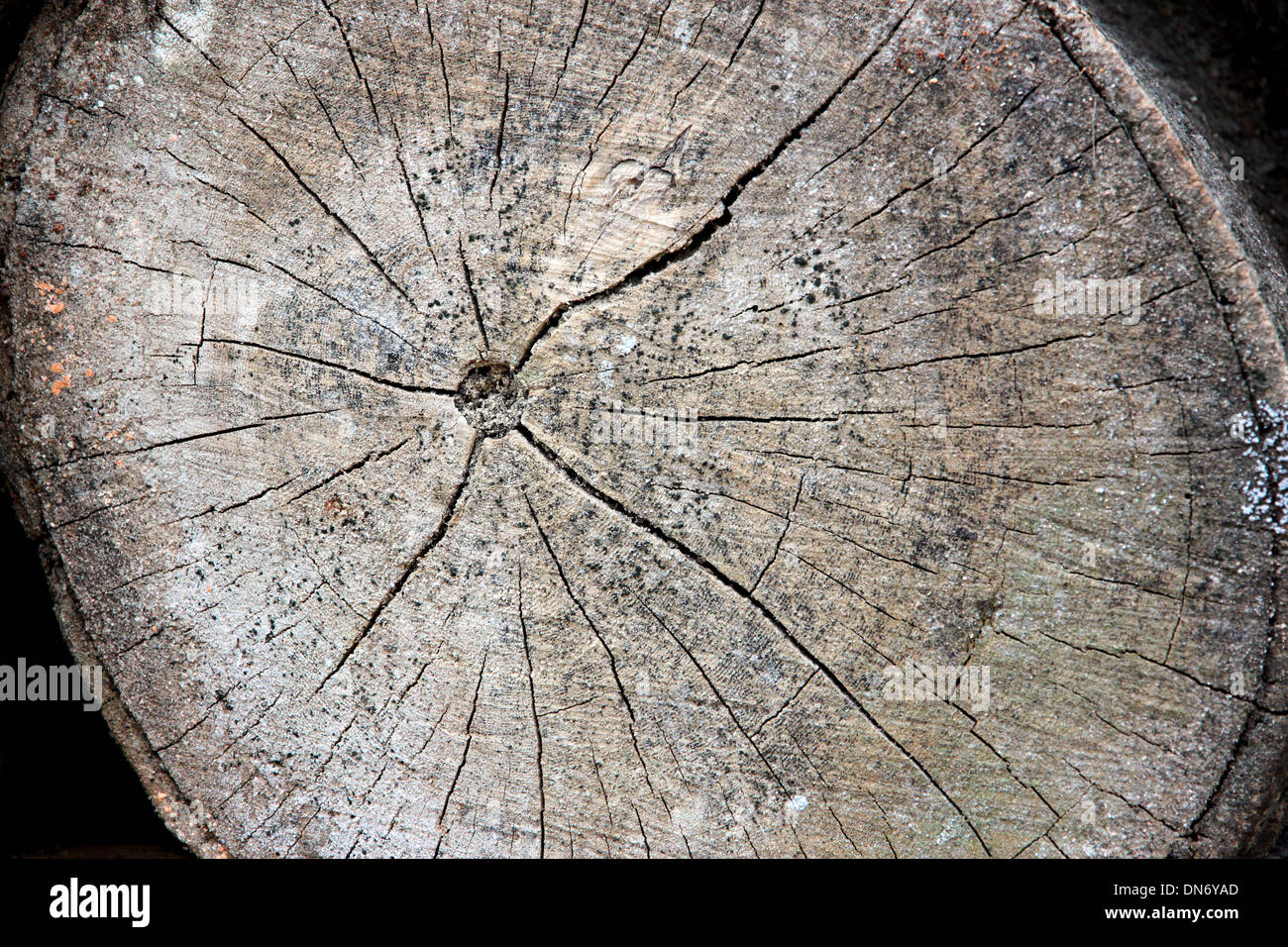 Il legno invecchiato di pattern. Foto Stock