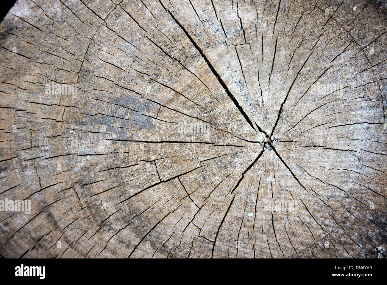 Il legno invecchiato di pattern. Foto Stock