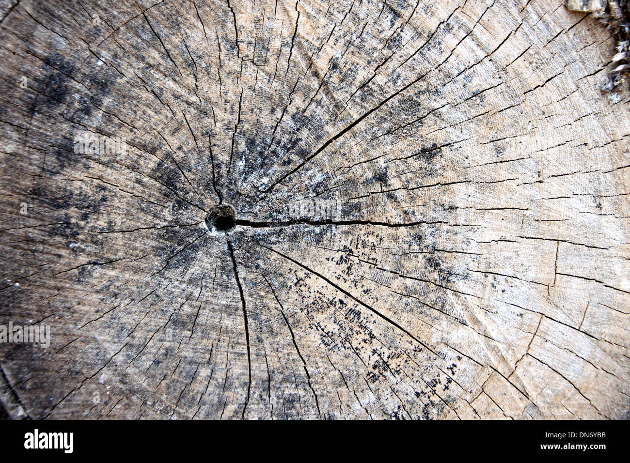 Il legno invecchiato di pattern. Foto Stock