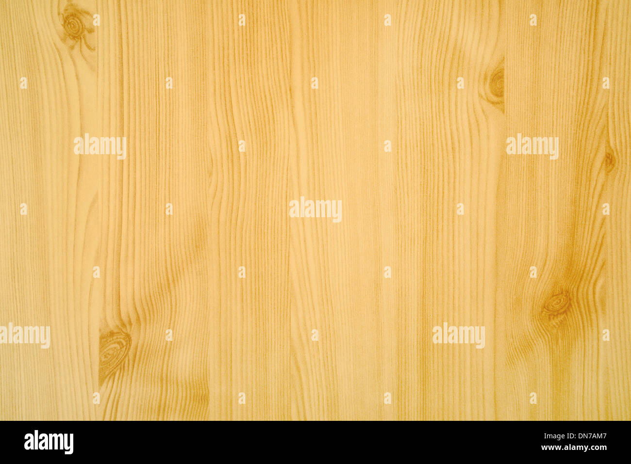 In legno di faggio texture. Dettagliate texture di faggio come legno naturale dello sfondo. Foto Stock