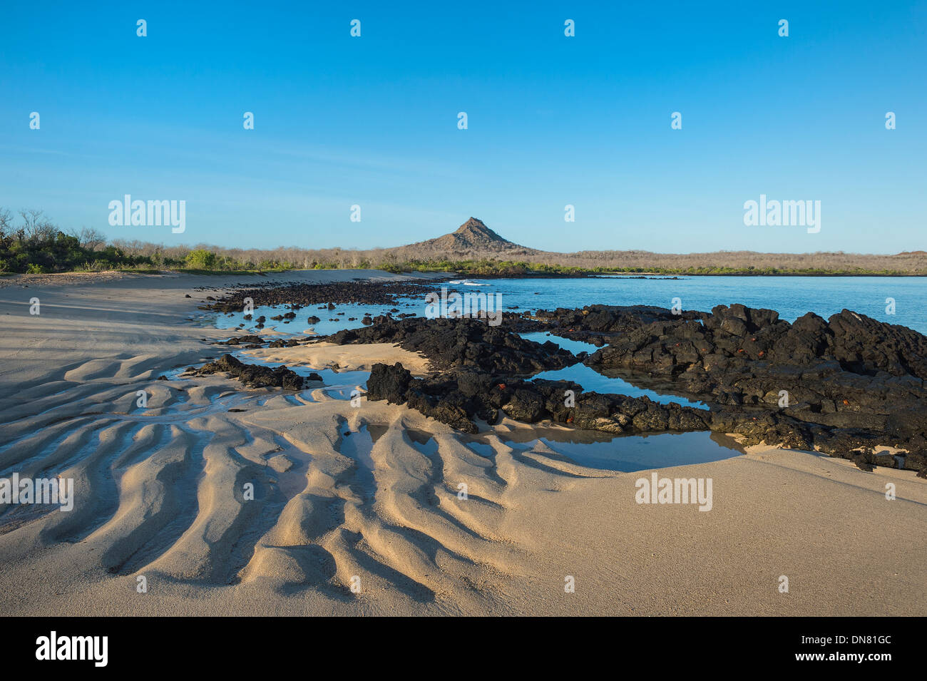 Dragon Hill, Isola di Santa Cruz, Galapagos, Ecuador Foto Stock