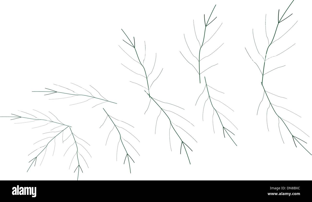 Una illustrazione di Ripe di bacche di caffè sul ramo Illustrazione Vettoriale