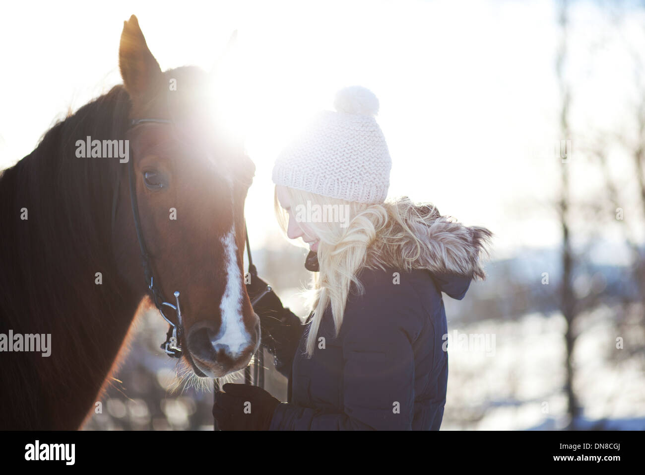 Giovane donna con cavallo in inverno Foto Stock
