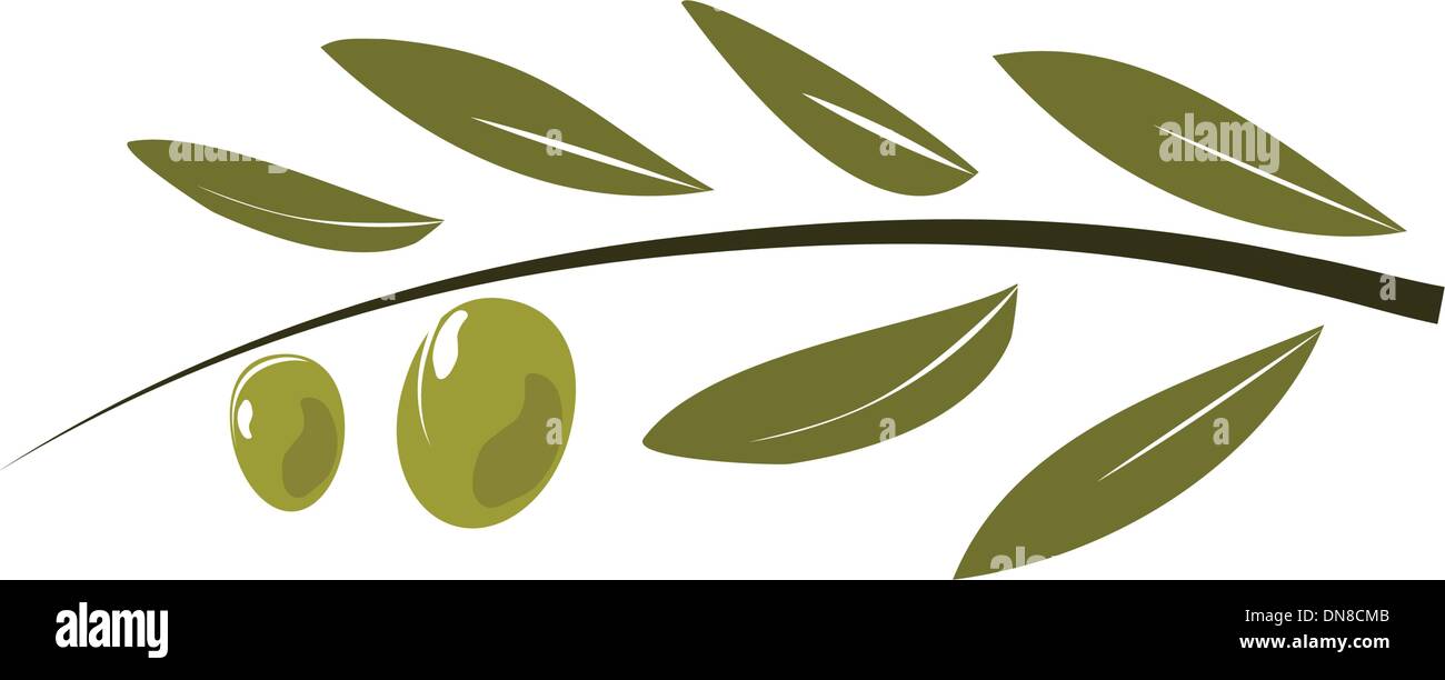 Le olive sul ramo con foglie. Illustrazione Vettoriale