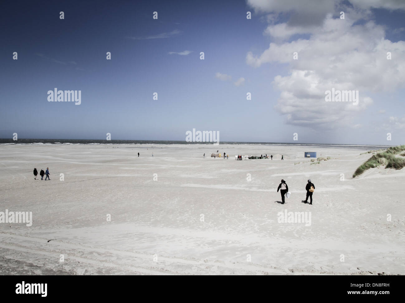 Ampia spiaggia libera di sabbia bianca isola terchelling paesi bassi Foto Stock