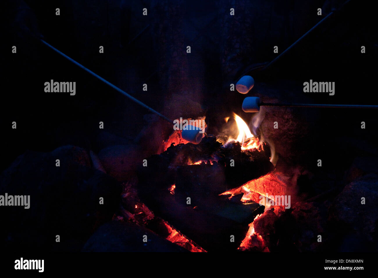 La tostatura marshmallow su un fuoco di campo. ISO elevata shot. Contiene grano. Foto Stock