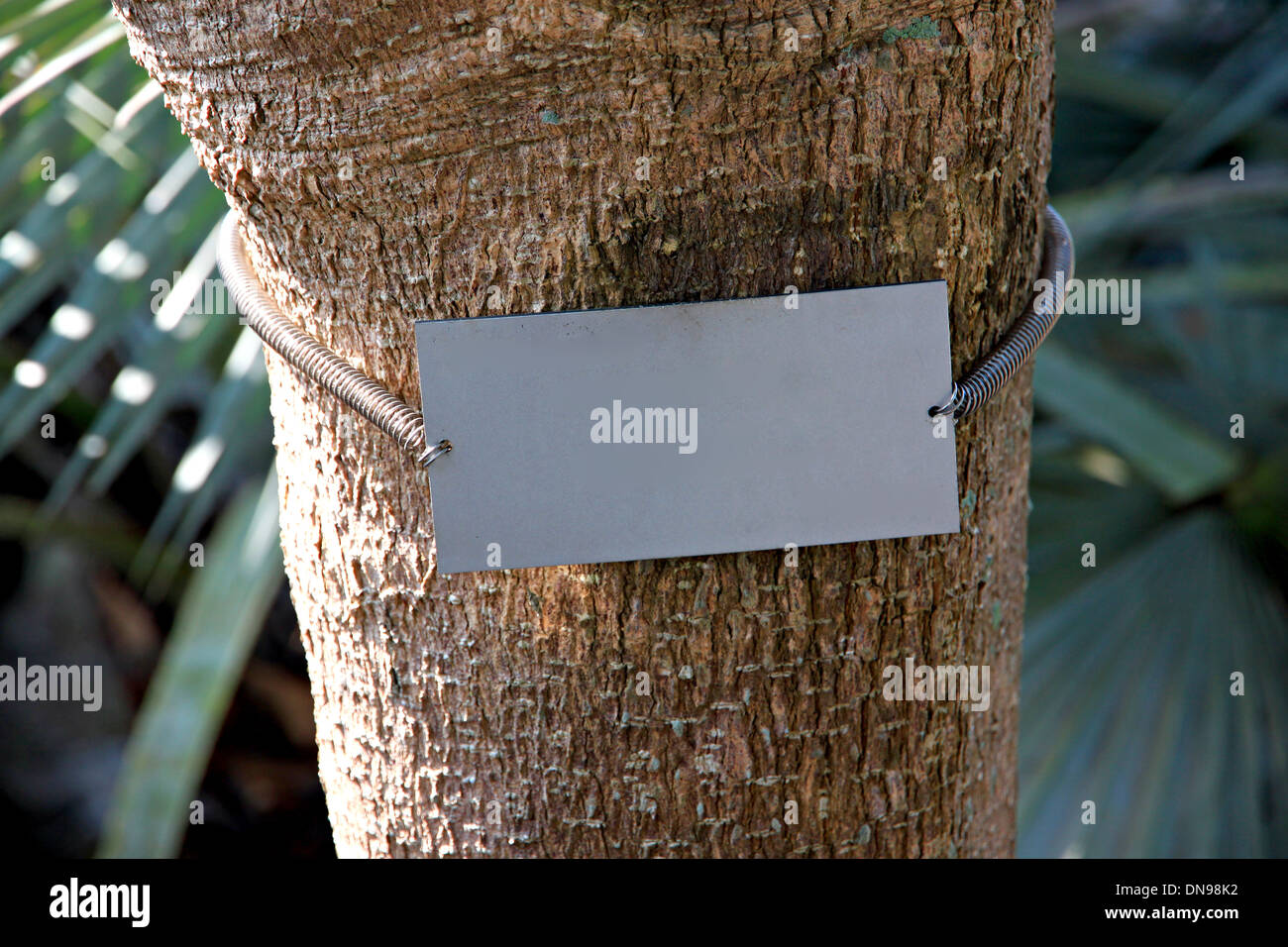 Etichetta appesa bloccati su albero in giardino. Foto Stock