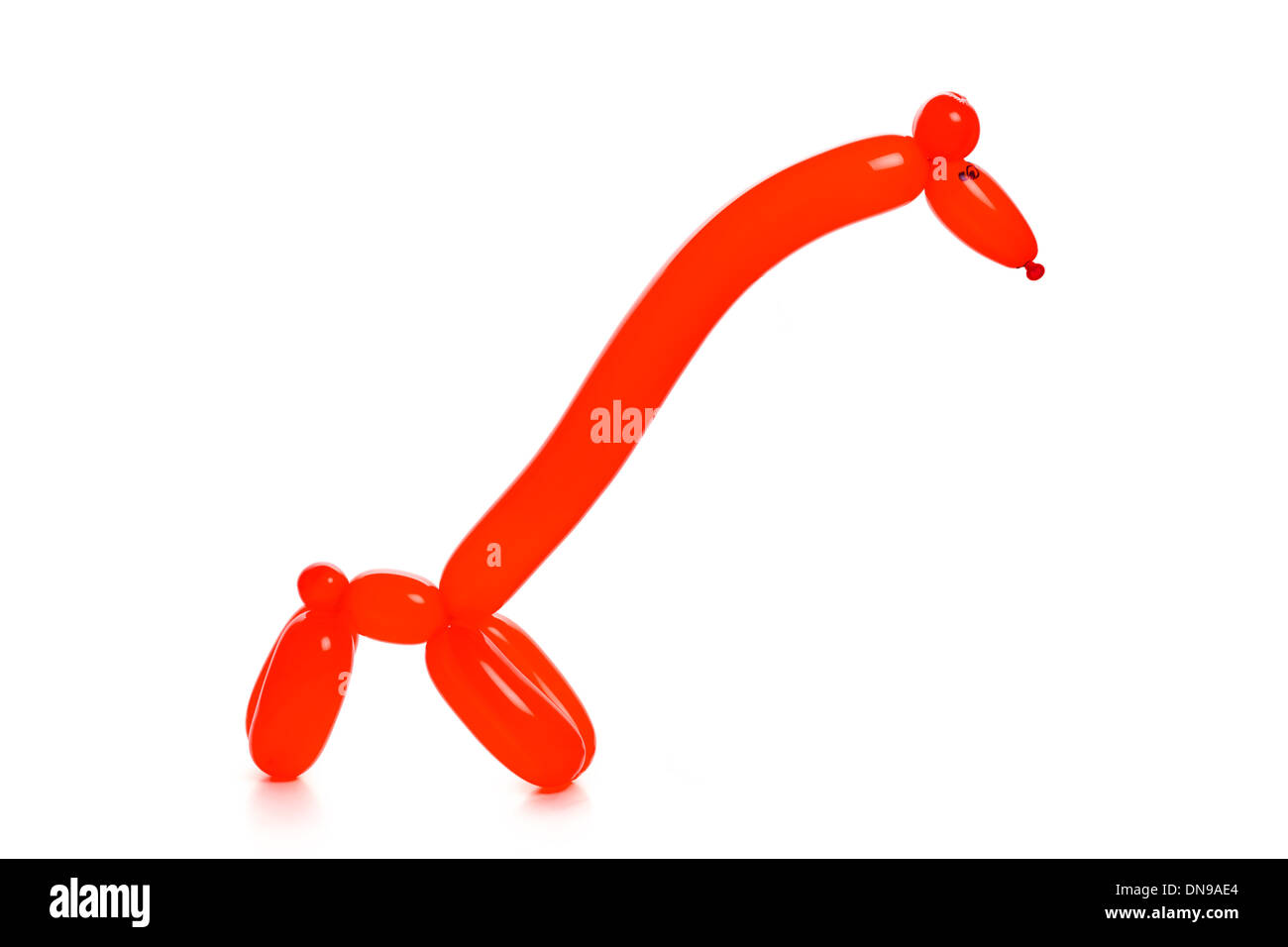 Il palloncino rosso giraffa animali Foto Stock