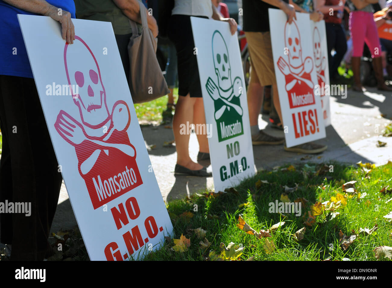 Un anti-Monsanto OGM protesta in Canada. Foto Stock