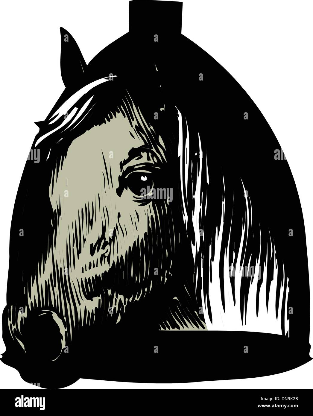 testa di cavallo Illustrazione Vettoriale