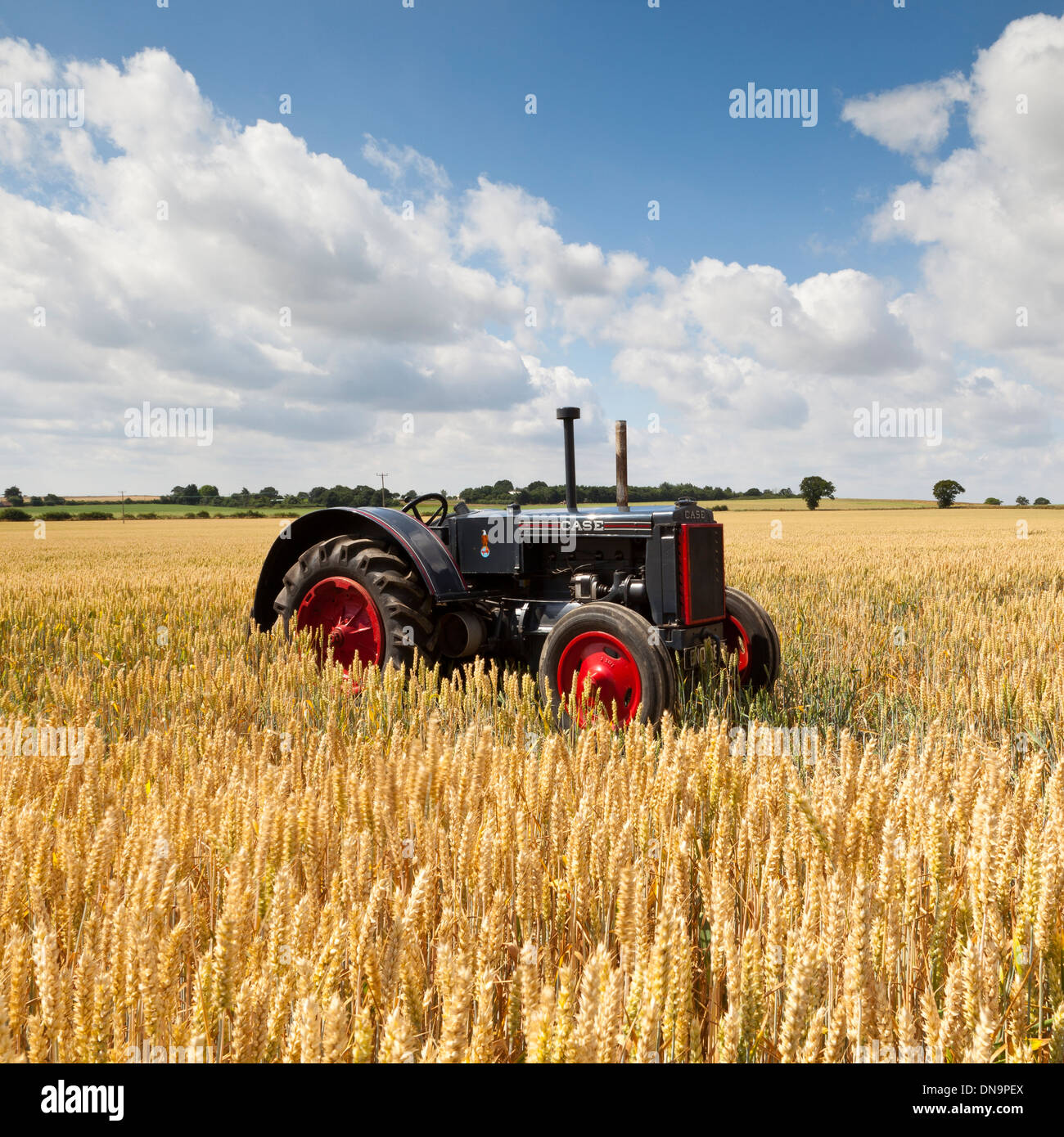 Un 1937 caso C vintage trattore in un campo di grano Foto Stock