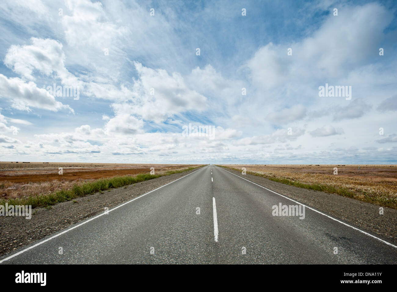 Stiramento su strada in distanza , Patagonia Argentina Foto Stock