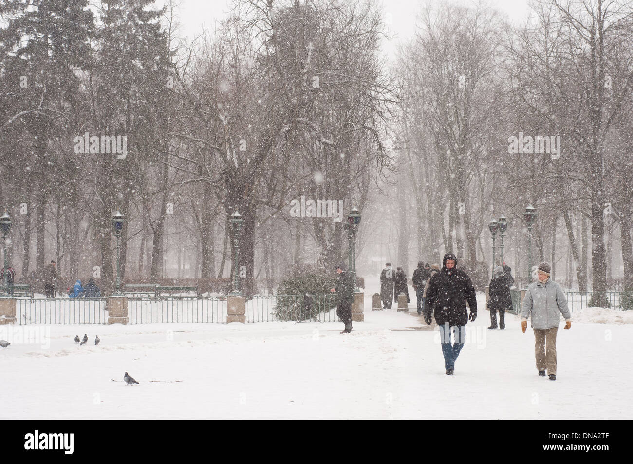 I turisti in whiteout in bagni di Varsavia Royal Park Foto Stock