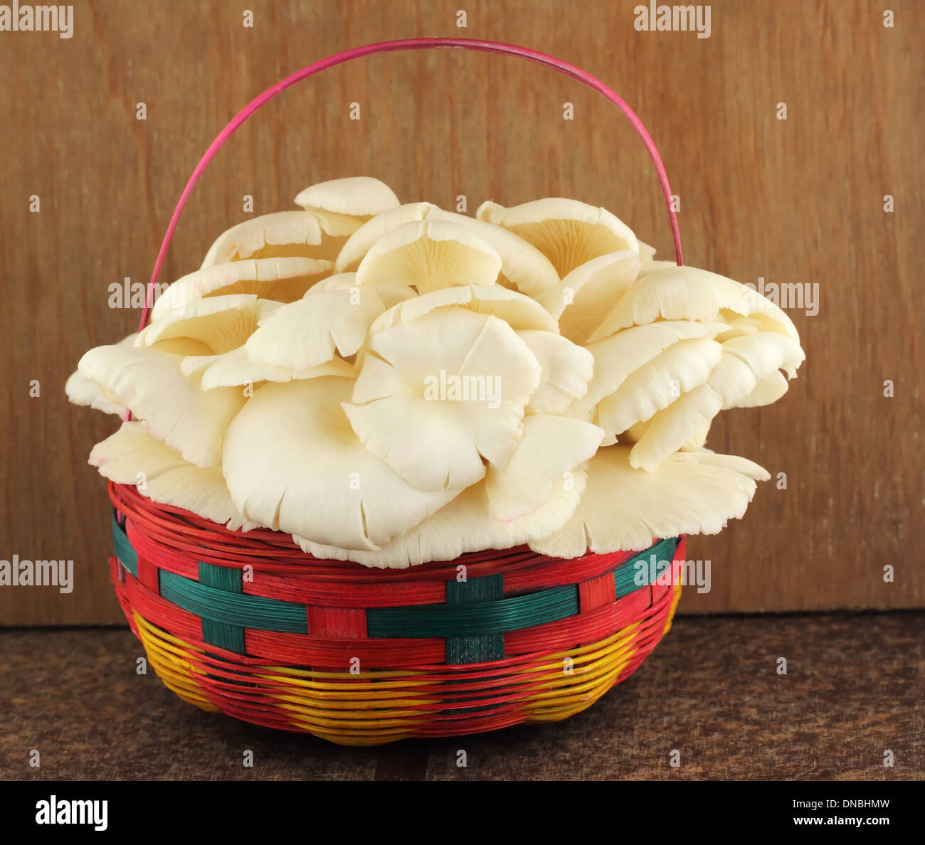 Cesto di funghi orecchioni in cucina con il fuoco selettivo Foto Stock