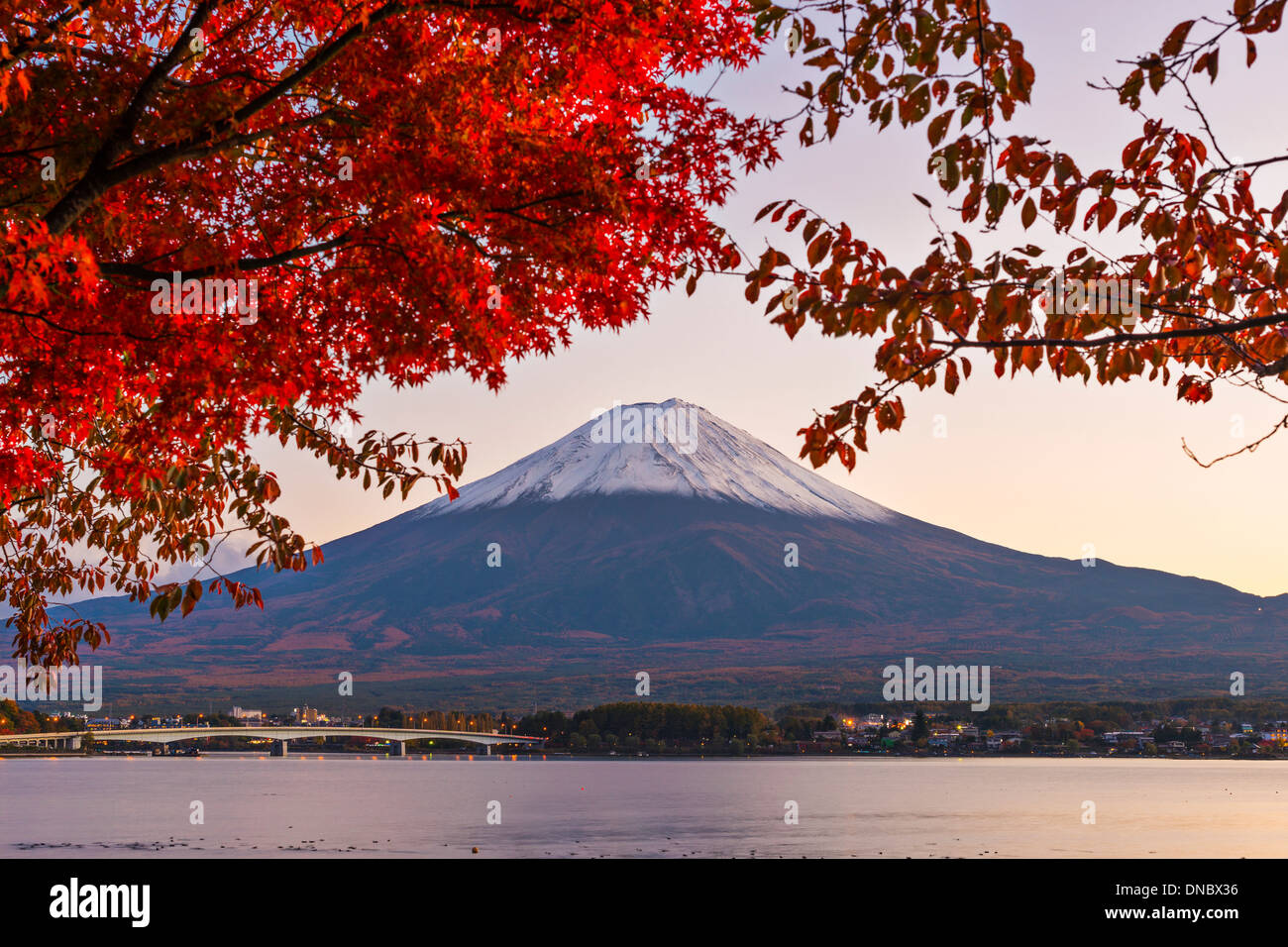 Mt. Fuji con la caduta delle foglie in Giappone. Foto Stock