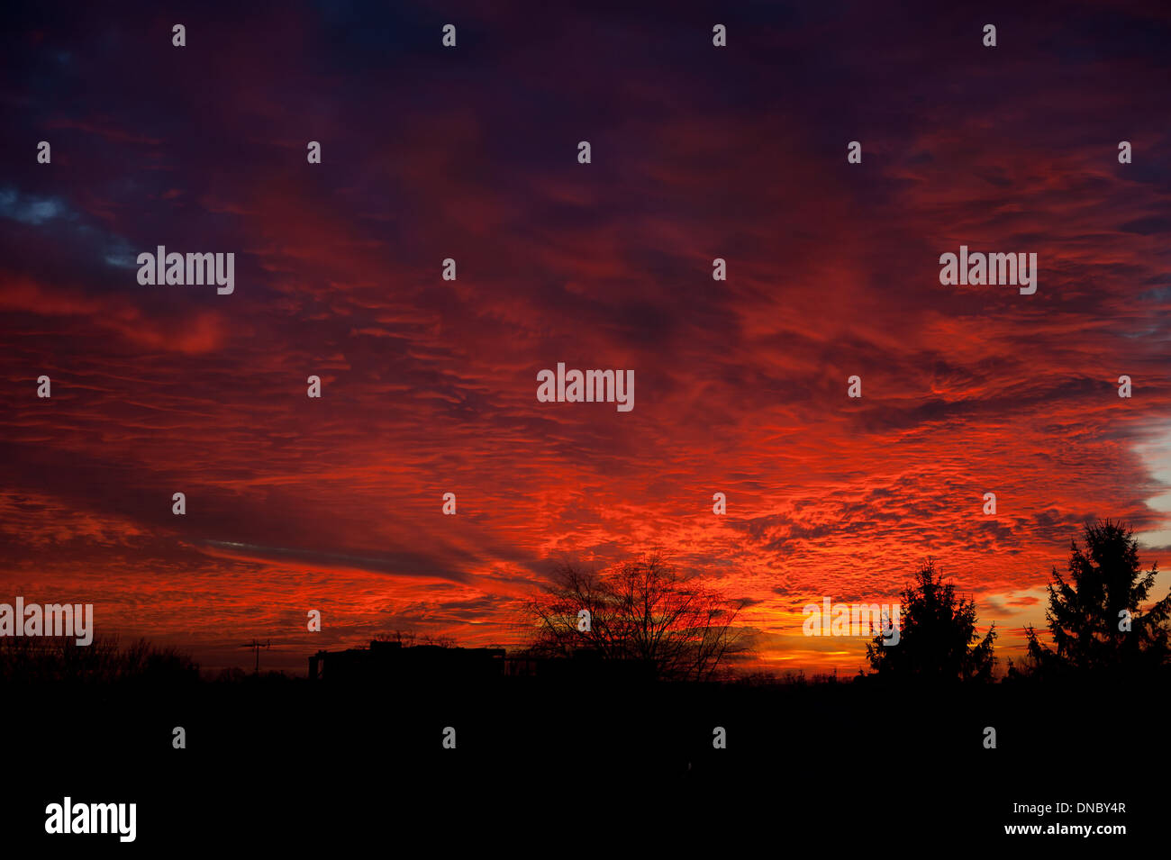 Rosso tramonto e alberi silhouette a Varsavia Foto Stock