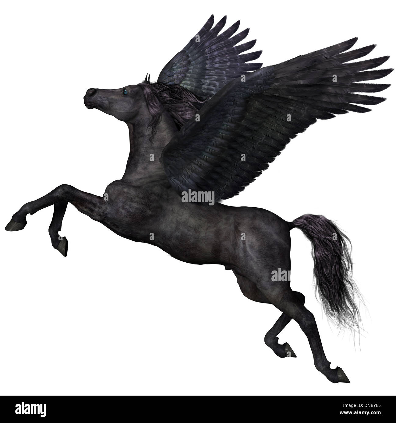 Un magico black Pegasus si diffonde le sue ali e vola in alto nel cielo. Foto Stock