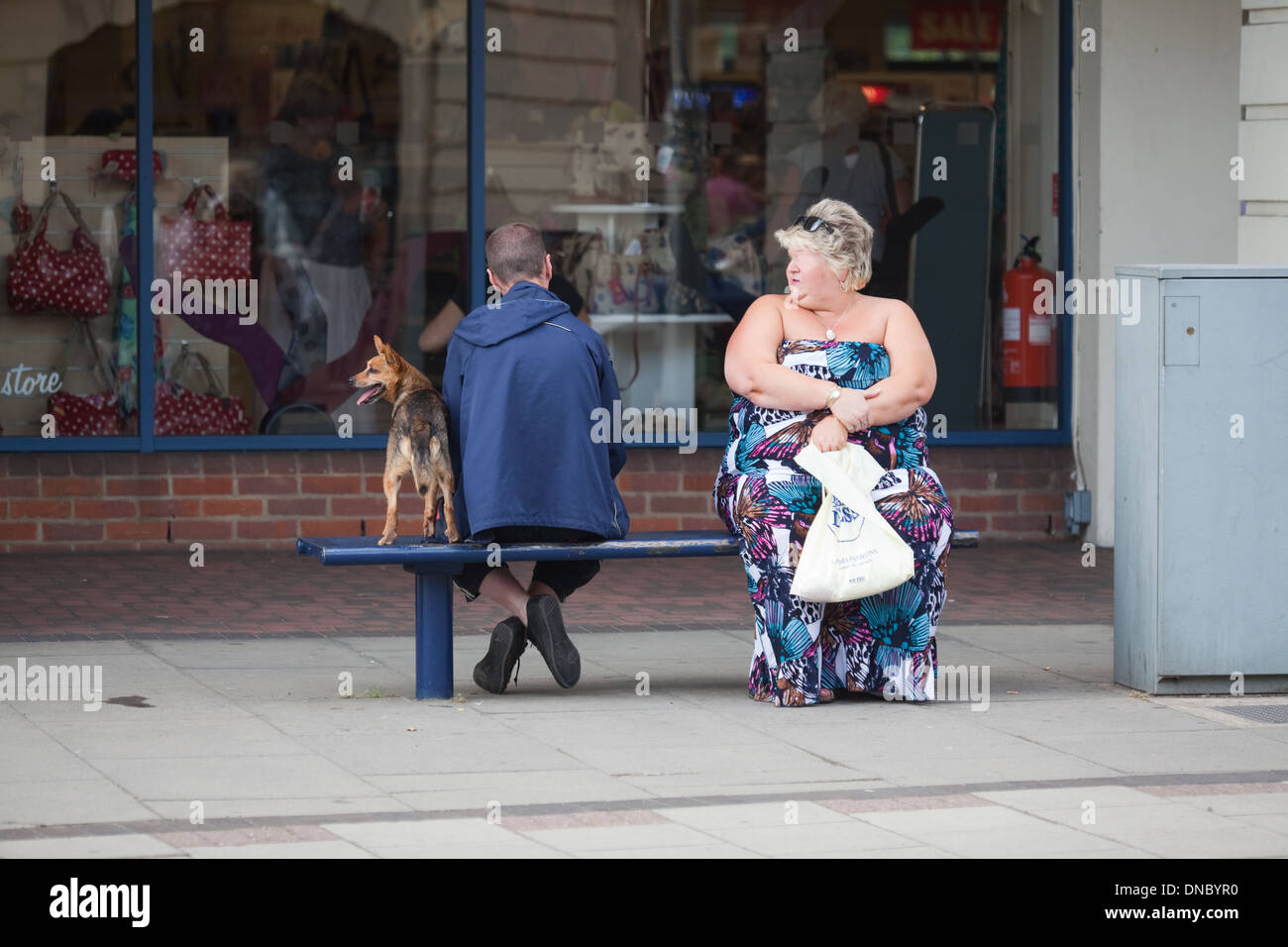 Obesità, isolamento, emarginati, di solitudine. Cane. Seduta urbana banco, strada dello shopping nel Regno Unito. Foto Stock