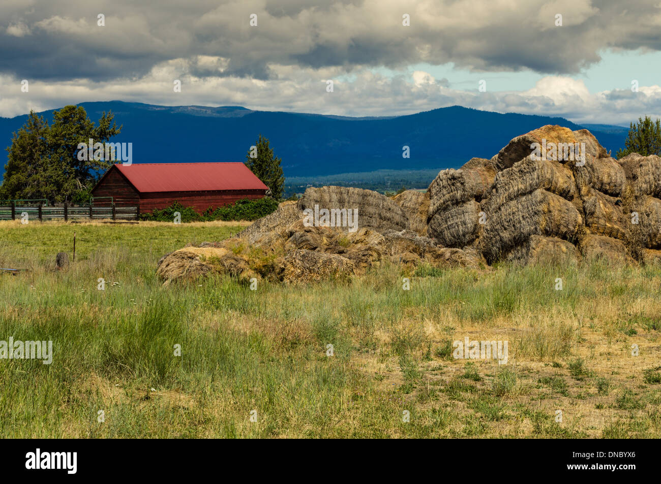 Abbandonata la risma di fieno nei pressi di un fienile e pascoli nelle zone rurali a est della Oregon. Maupin Oregon Foto Stock