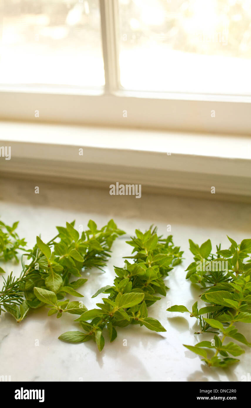 Le erbe di finestra Foto Stock