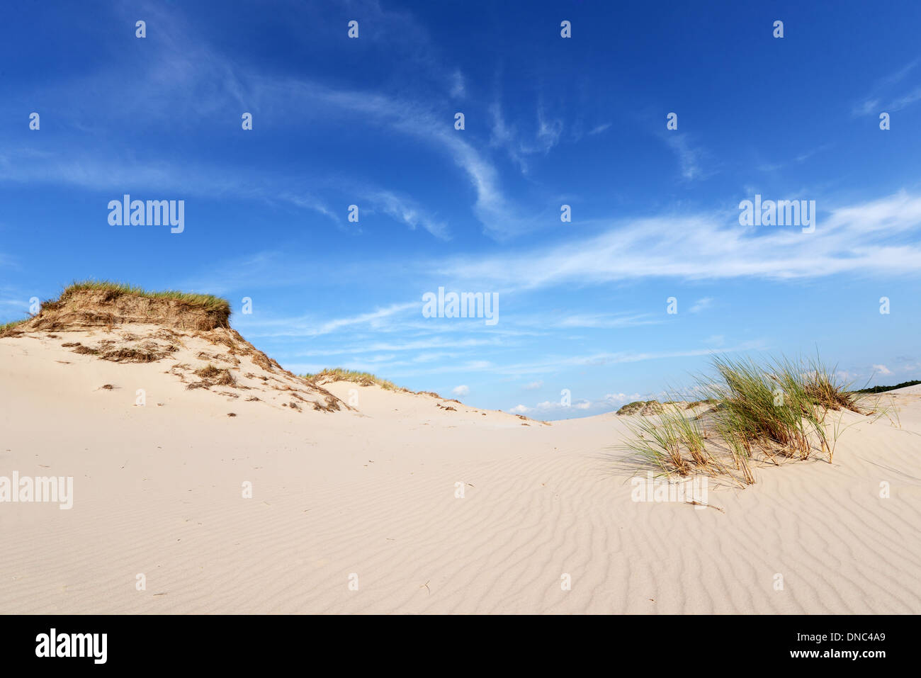 Il paesaggio del deserto Parco Nazionale di Slowinski Polonia Mar Baltico Foto Stock