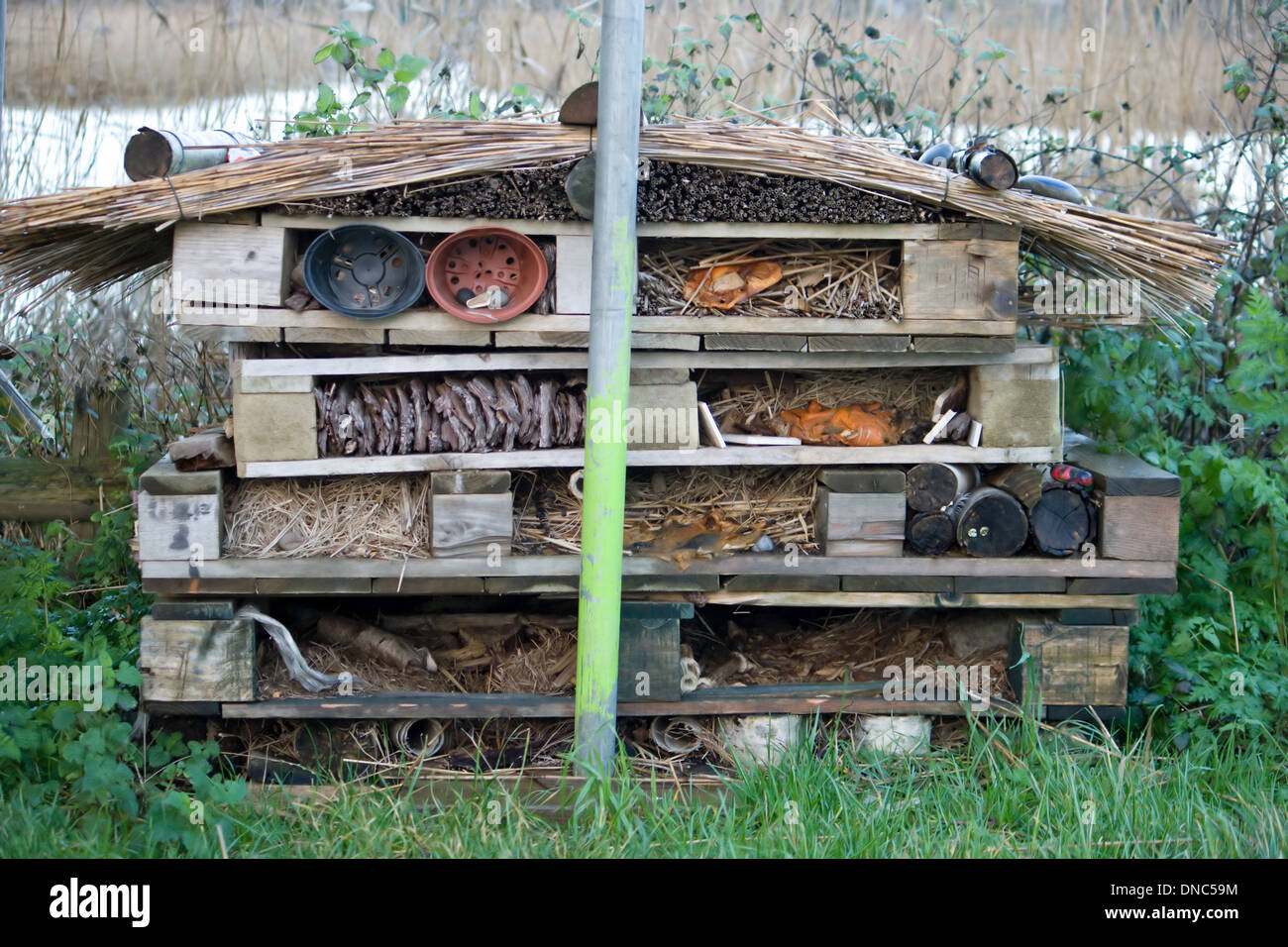 Home per insetti e "creepy imperfezioni' al lago Radipole riserva naturale,,Weymouth Dorset. Foto Stock