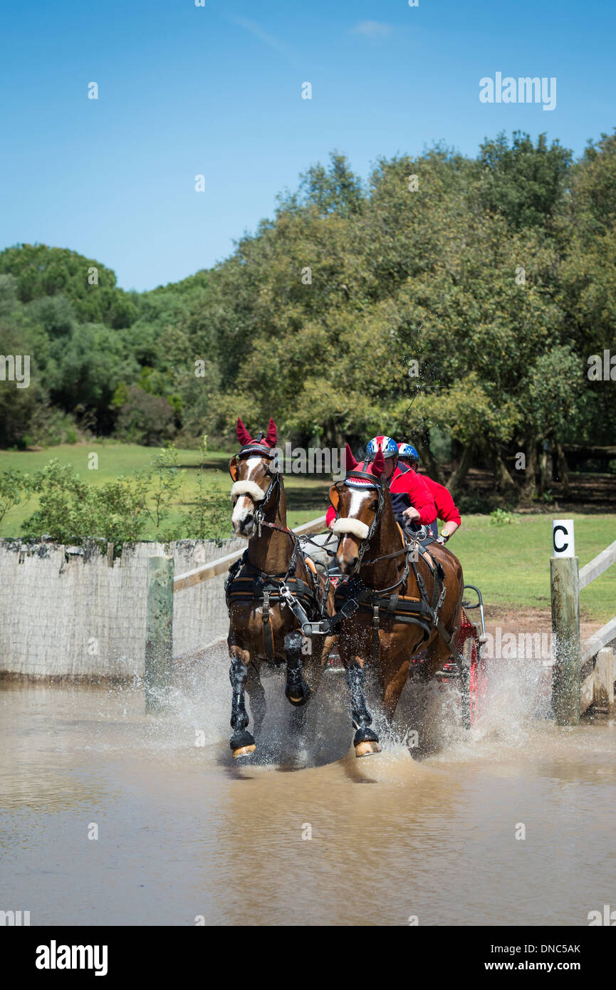 Una immagine da un cavallo concorso di guida dove i piloti navigare un corso obsticle. Foto Stock