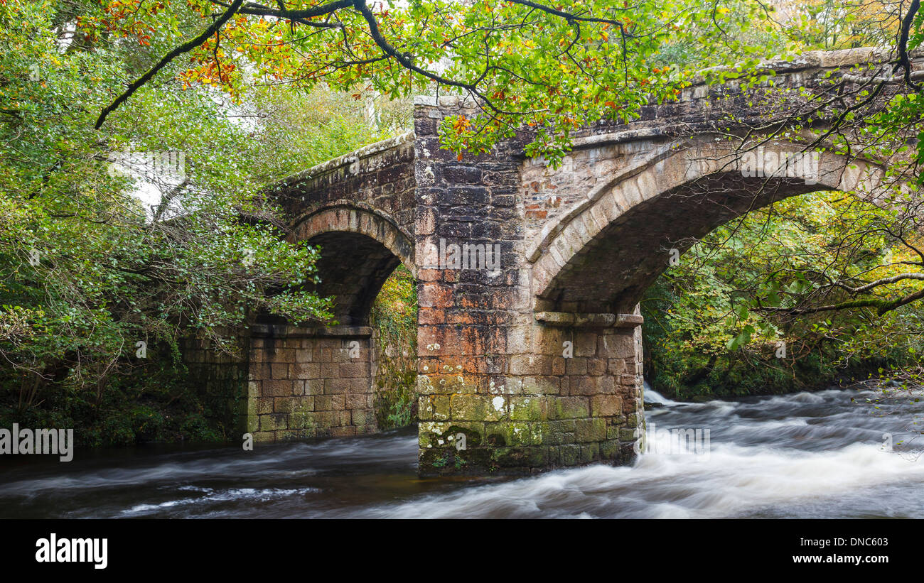 Storico ponte del fiume Dart a Newbridge Parco Nazionale di Dartmoor Devon England Regno Unito Europa Foto Stock