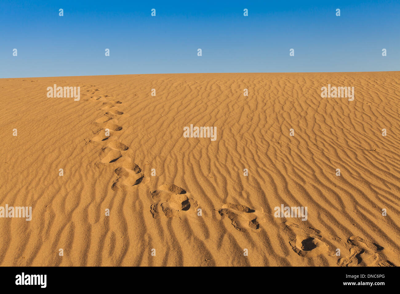 Le dune di sabbia di Mesquite piatto nella Valle della Morte nel deserto - California Foto Stock