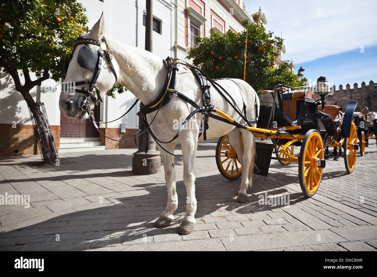 Il trasporto di cavalli per i turisti in Sevilla, Spagna. Inquadratura orizzontale Foto Stock