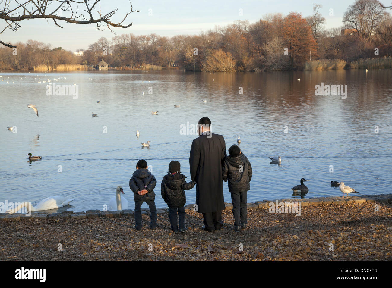 Ebreo ortodosso padre con tre figli visita il lago a Prospect Park durante Chanukah a Brooklyn, New York. Foto Stock