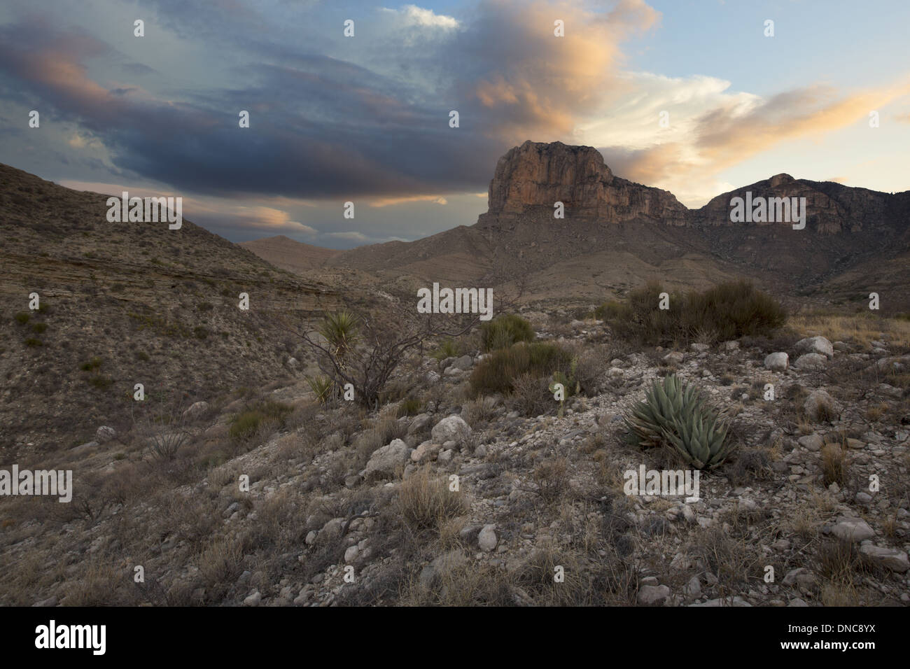 Le nubi incombono su di Texas' picco più alto, Guadalupe peak, situato nel Parco Nazionale delle Montagne Guadalupe nel lontano ovest del Texas. Foto Stock