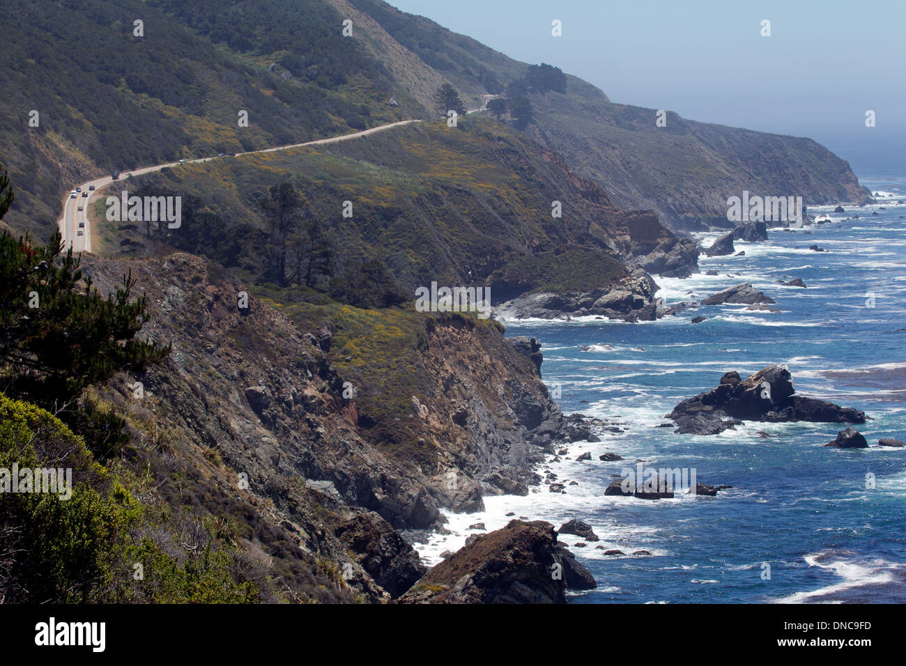 California settentrionale della costa e la Pacific Coast Highway PCH Foto Stock