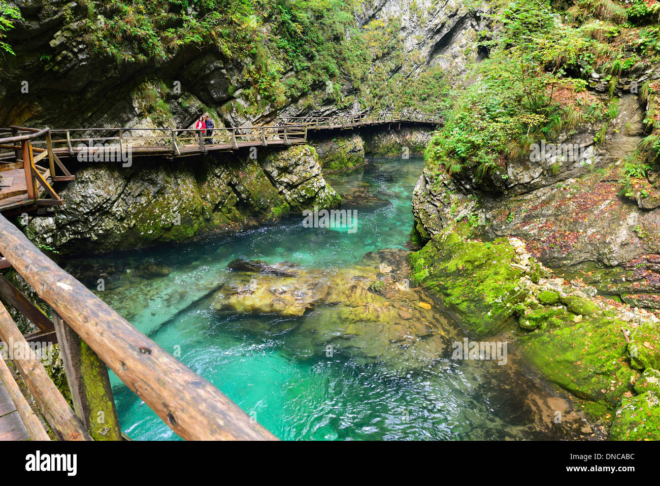 Una spettacolare passeggiata nella Gola di Vintgar a bordo passeggiate sulle acque color smeraldo del fiume Radovna sottostante - Bled, Slovenia Foto Stock