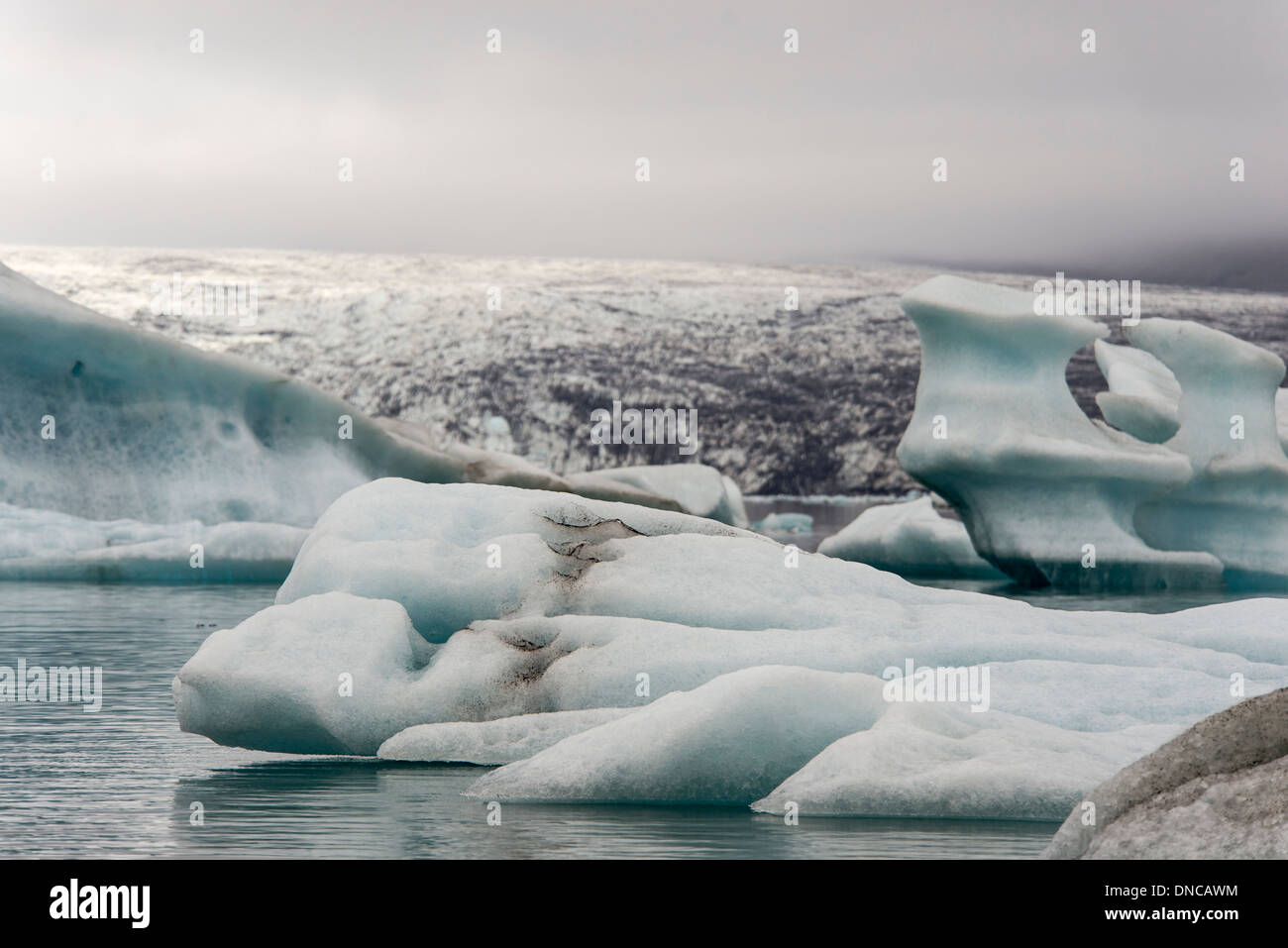 Jokulsarlon lago, Islanda Foto Stock