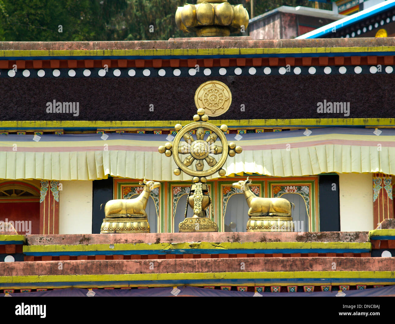 La ruota del dharma della vita,Nuovo il monastery di Rumtek,il Sikkim Foto Stock