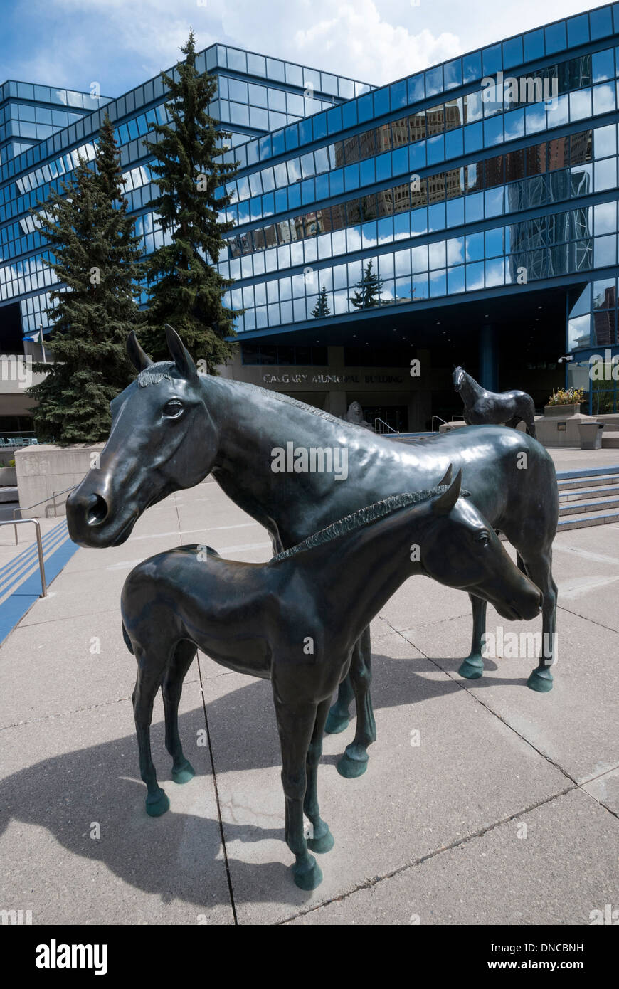 La scultura di cavallo sulla terrazza vicino alla entrata del nuovo edificio comunale nella città di Calgary Alberta. Foto Stock
