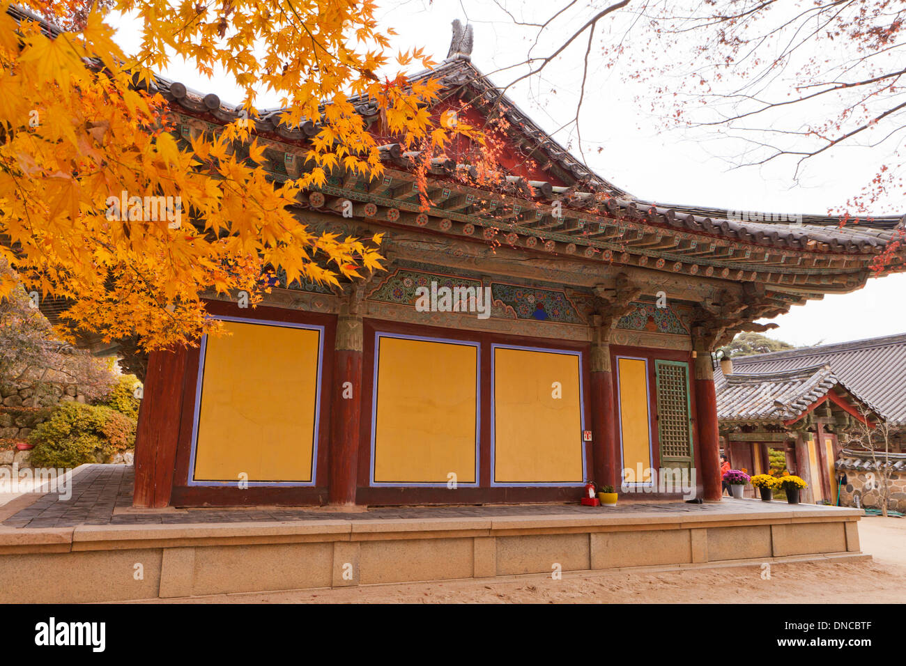 Autunno a colori foglie di acero in parte anteriore della tradizionale architettura Coreana (Hanok) - Corea del Sud Foto Stock