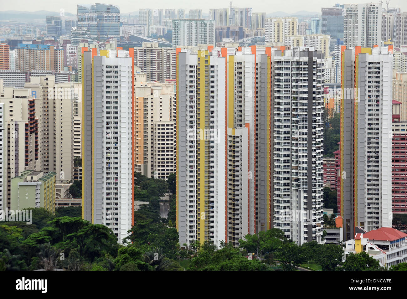 Singapore. 23 Dic, 2013. Foto scattata a Dic. 23, 2013 mostra l'edilizia pubblica appartamenti a Singapore il Bukit Merah. Singapore il ministero del Commercio e dell'industria (MTI) ha annunciato che il tasso di inflazione è salito al 2,6 per cento nel mese di novembre dal 2,0 per cento nel mese precedente. © poi Chih Wey/Xinhua/Alamy Live News Foto Stock