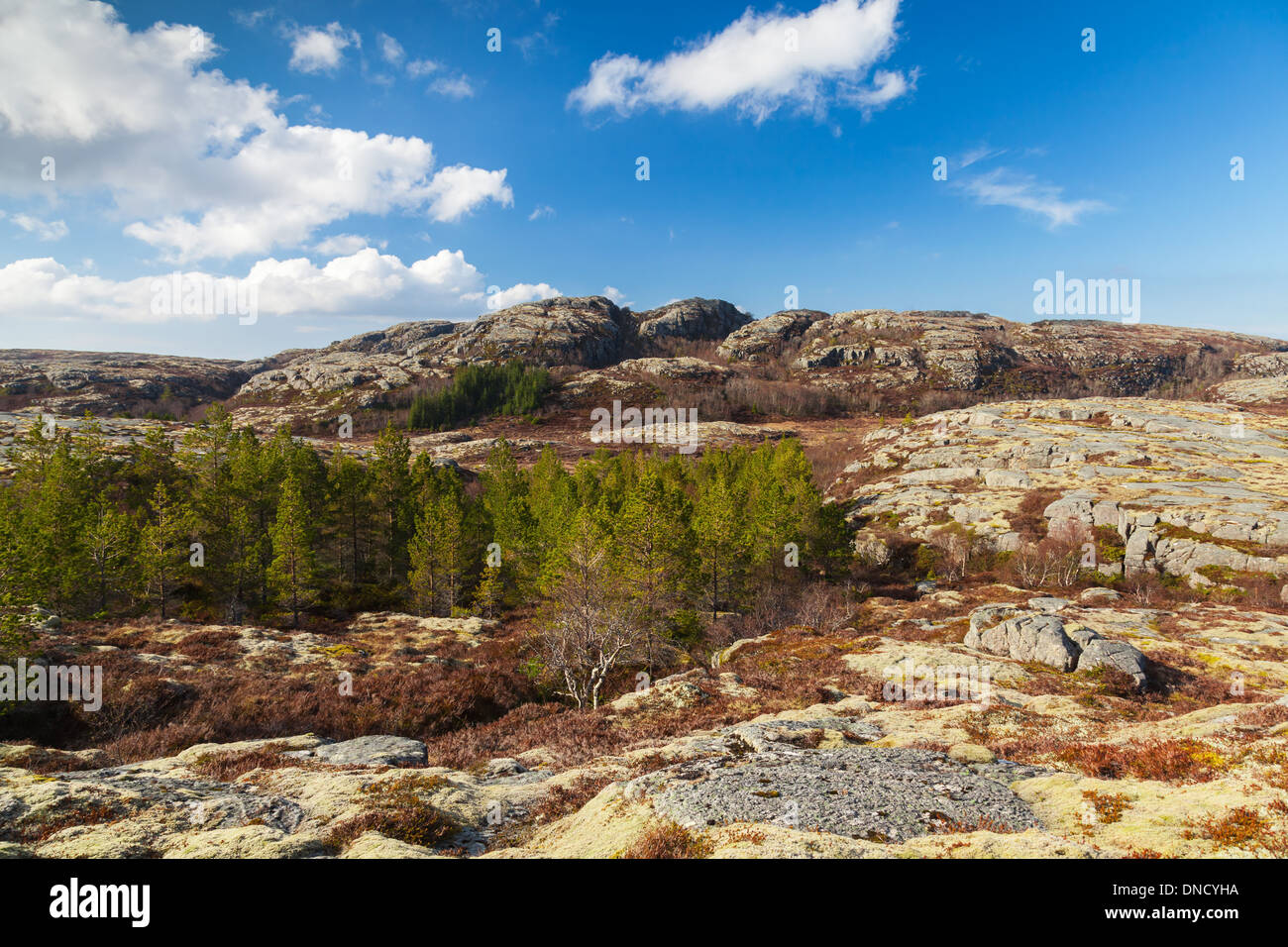 Norwegian paesaggio di montagna con cielo nuvoloso e pini Foto Stock