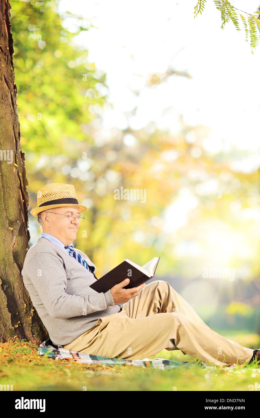 Senior uomo seduto su un erba e la lettura di un libro in posizione di parcheggio Foto Stock