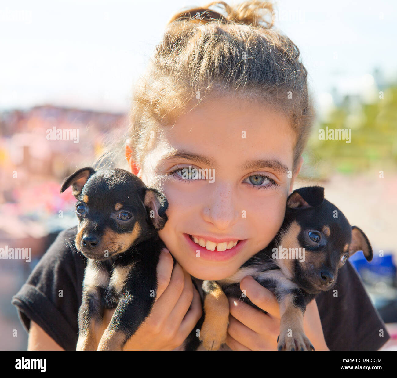Kid ragazza che gioca con il cucciolo cani sorridente con gli occhi blu Foto Stock
