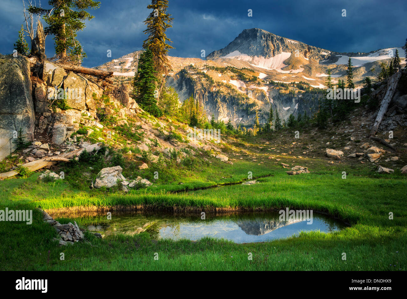 Piccolo stagno riflettente cappuccio Eagle Mountain. Eagle Cap deserto, Oregon Foto Stock