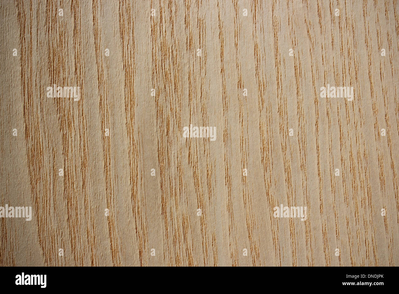 Superficie di legno, ash (Fraxinus) - linee verticali Foto Stock