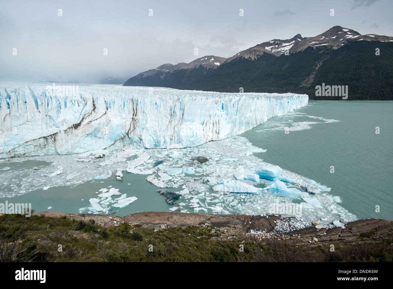 La foresta e il Glacier, Ghiacciaio Perito Moreno parco nazionale Los Glaciares in Argentina Foto Stock