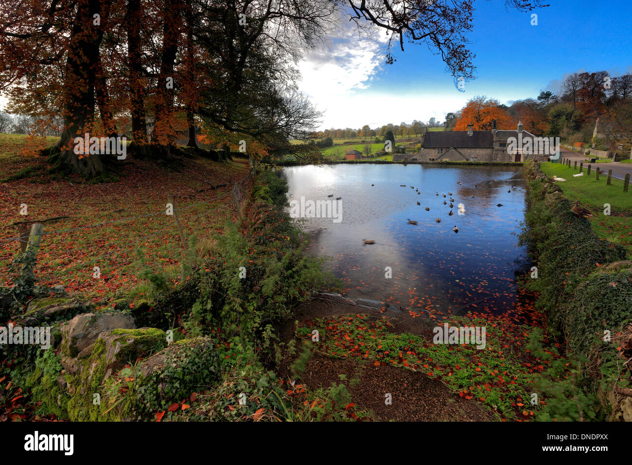 In autunno, villaggio Tissington, Parco Nazionale di Peak District, Derbyshire, England, Regno Unito Foto Stock