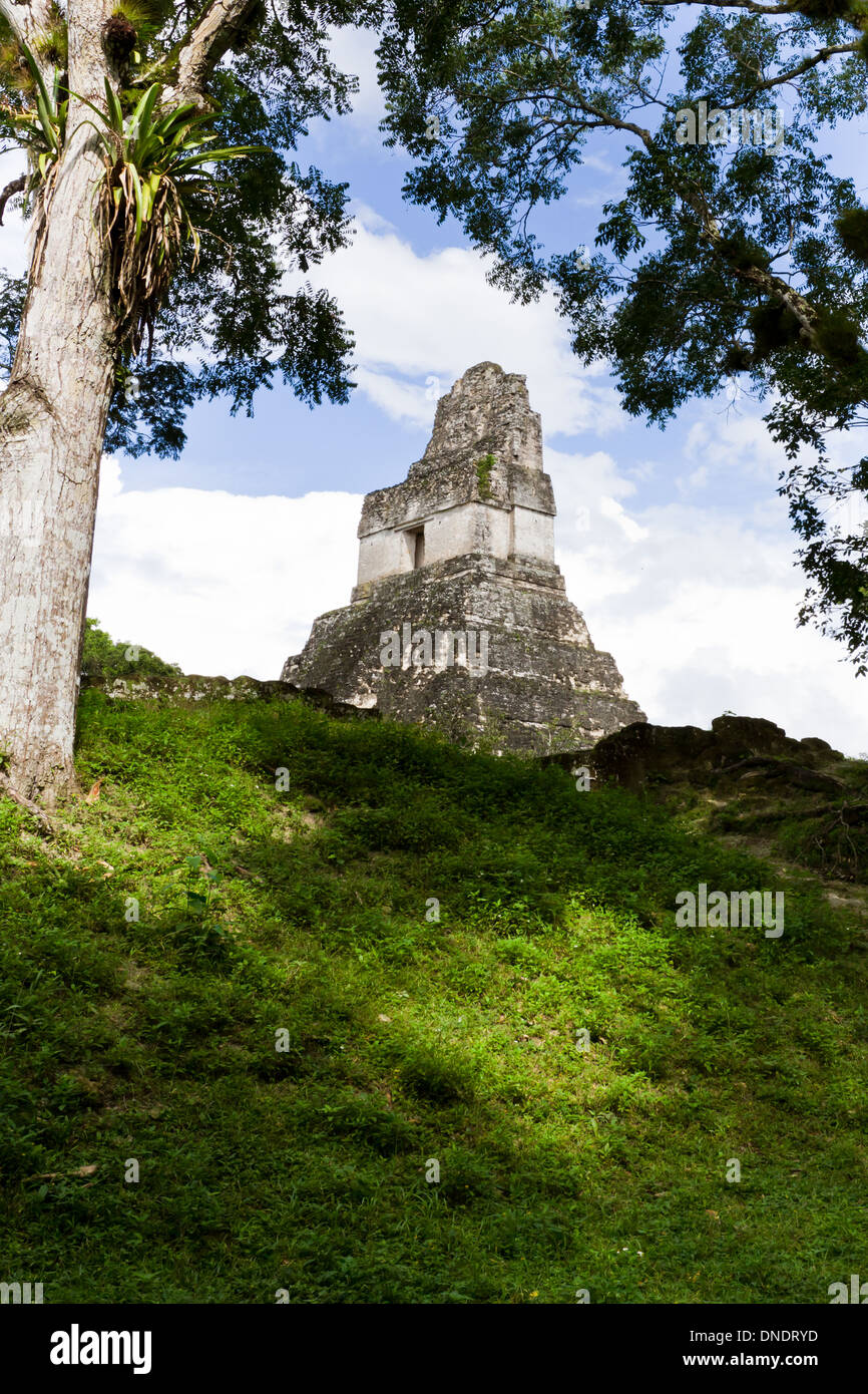 Antiche rovine maya di Tikal Guatemala Novembre 2013 Foto Stock