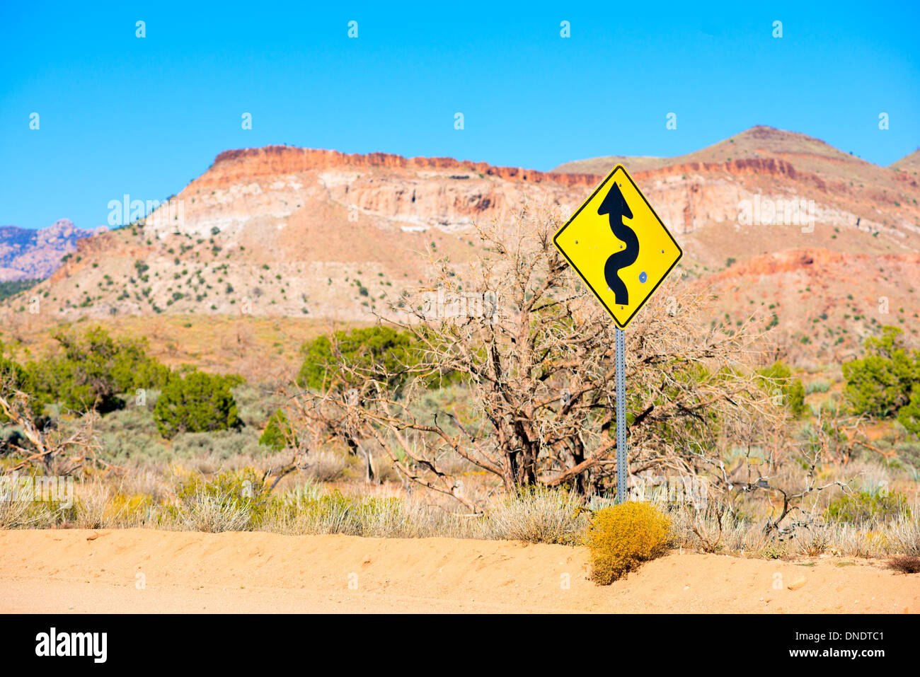 Strada nel deserto con avvolgimento cartello stradale Foto Stock