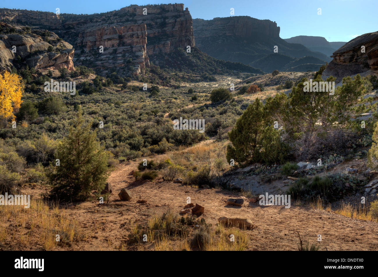 Nessuna strada transitabile Canyon e il sentiero escursionistico dello stesso nome, nel Colorado National Monument Foto Stock